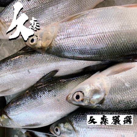 【久森嚴選】鮮撈虱目魚